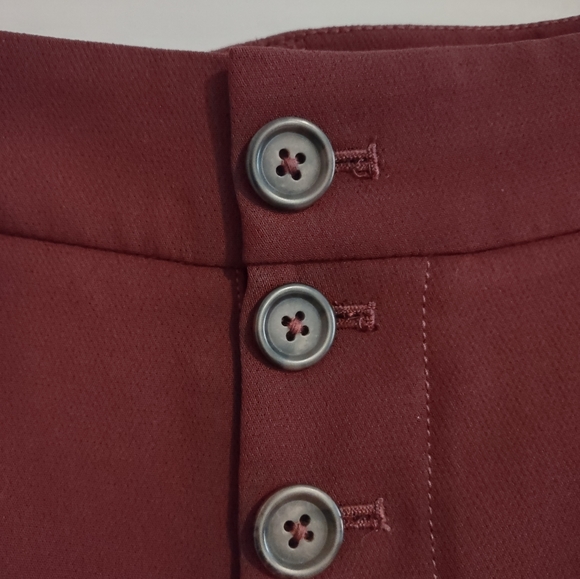 Anthropologie Sasha Button Fly Tapered Trouser Pants - Picture 6 of 14